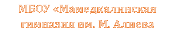 МБОУ «Мамедкалинская гимназия им. М. Алиева