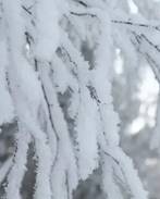 https://avatars.mds.yandex.net/i?id=f21b00751f5b83198c6ea802ea6770bc3cd6f280-6947113-images-thumbs&n=13