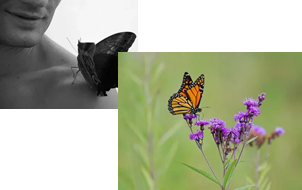 https://avatars.mds.yandex.net/i?id=2db47cc936de6bbd9538adaa785020b238a4b982-5192525-images-thumbs&n=13,https://avatars.mds.yandex.net/i?id=4ee22f73a046cb3b6171594e047db13e7098ea82-10805306-images-thumbs&n=13
