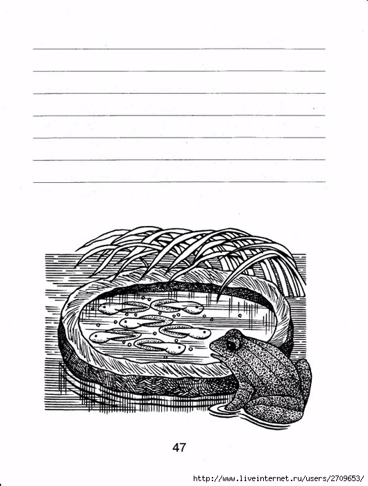 Контрольное списывание 1 класс.page48 (530x700, 188Kb)