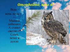 https://sun9-46.userapi.com/impg/0Zbx2KhLpVUE2yVvZU2pHVRZX_agSCseB-gojA/DZ7v6vng0dg.jpg?size=1024x767&quality=96&sign=b577aa2b65e00a7b5a77c56168b1217a&type=album