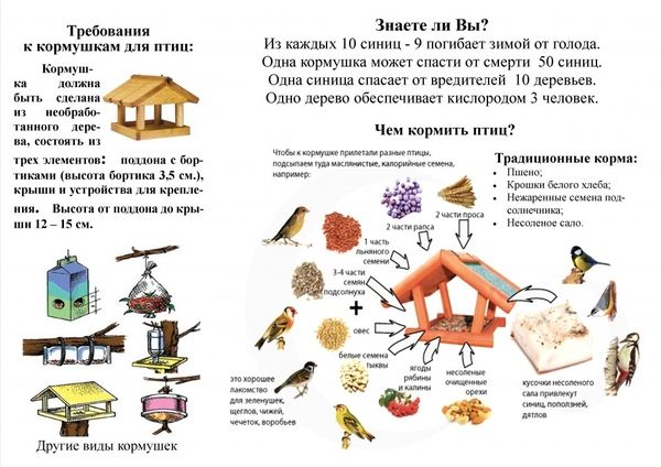 буклет "помогите птицам зимой" | Консультация по окружающему миру на тему:  | Образовательная социальна… | Для детей, Образовательная деятельность,  Домашние занятия