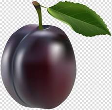 https://c7.hotpng.com/preview/883/364/947/prune-plum-clip-art-prune.jpg