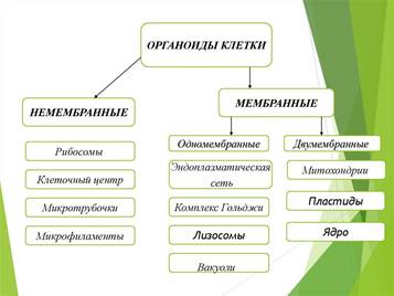 https://cf2.ppt-online.org/files2/slide/l/loOJfa5hkxiYCeL0Vz8cpn7jAwMyI1EKSFsT4P/slide-1.jpg