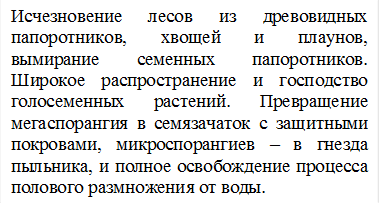 Исчезновение лесов из древовидных папоротников, хвощей и плаунов, вымирание семенных папоротников. Широкое распространение и господство голосеменных растений. Превращение мегаспорангия в семязачаток с защитными покровами, микроспорангиев – в гнезда пыльника, и полное освобождение процесса полового размножения от воды. 