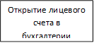 Открытие лицевого счета в бухгалтерии