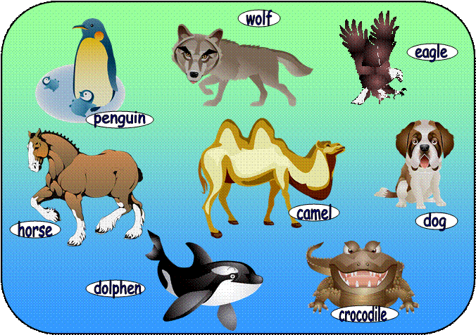 penguin,horse,dolphen,wolf,eagle,camel,crocodile,dog
