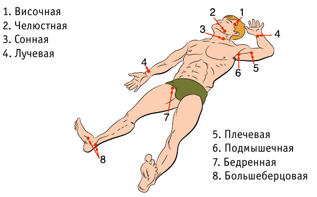 Ð¢Ð¾Ñ‡ÐºÐ¸ Ð¿Ñ€Ð¸Ð¶Ð°Ñ‚Ð¸Ñ Ð°Ñ€Ñ‚ÐµÑ€Ð¸Ð¹