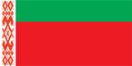 http://abali.ru/wp-content/uploads/2010/12/flag_belarusi.png