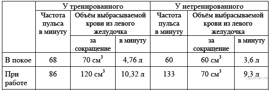 Сердце тренированного и нетренированного человека таблица. Сердце треннированого и нетринероваанного еловека. ЧСС тренированного человека. Показатели у тренированных и нетренированных людей.