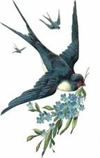 https://avatars.mds.yandex.net/i?id=5d2ec71780e96574c50b5ec62e6940dfaa331cb2-5681776-images-thumbs&n=13