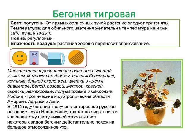 http://belousova.ucoz.ua/_si/1/89989528.jpg