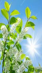https://avatars.mds.yandex.net/i?id=7e94b1ad93fd5e8b163fa8cebacd3d0cae805e5f-5276635-images-thumbs&n=13