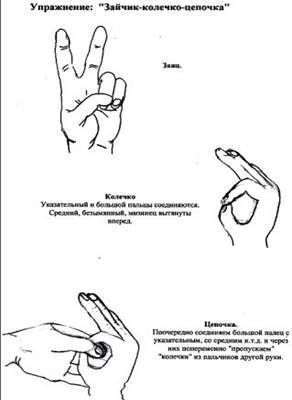 Нейропсихологические игры и упражнения. Часть 1: psy_researcher —  LiveJournal