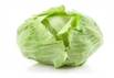 http://plant-s.ru/wp-content/uploads/2017/02/39e22c.jpg