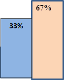   67%,39%,16%,33%