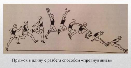 Легкая атлетика. Основы легкой атлетики как вида спорта - презентация онлайн