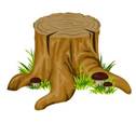 https://avatars.mds.yandex.net/i?id=bdc1c0d7507f3adff8299eb35acd576b-5493124-images-thumbs&n=13