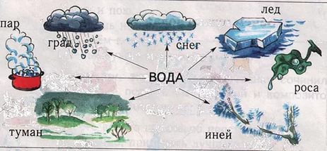 https://im0-tub-ru.yandex.net/i?id=e26907ee281e0b455ee0902a9ab72c58&n=33&h=215&w=463