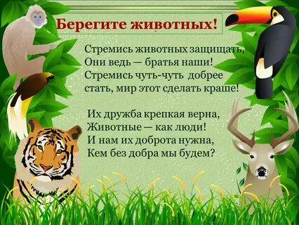 Picture background