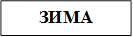 ЗИМА