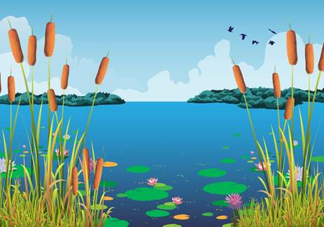https://static.vecteezy.com/system/resources/previews/000/120/917/original/cattails-vector-and-water-lilies-at-the-beautiful-lake.jpg