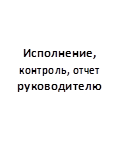 Исполнение, контроль, отчет руководителю
