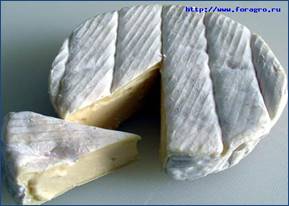 produce_cheese_camembert_1_h_orig