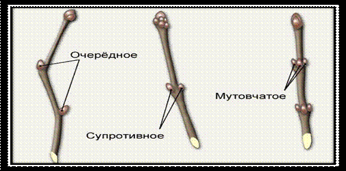 2732-4-f.jpg