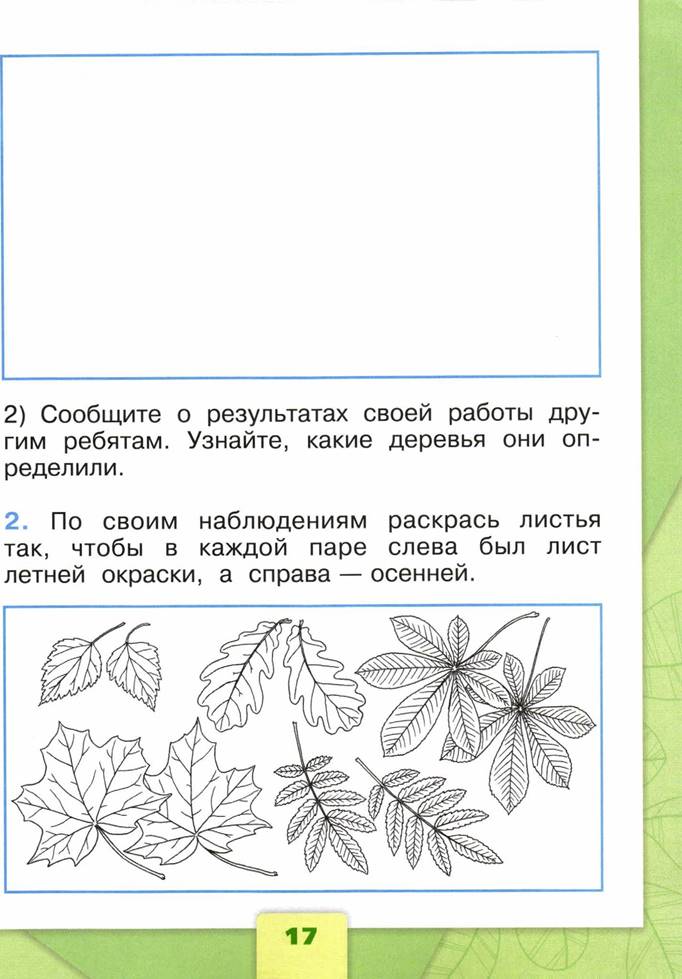 Листы 2 задание. Плешаков 1 класс задания. Рабочий лист листья деревьев. Листья по окружающему миру 1 класс. Практическая работа определяем деревья по листьям.