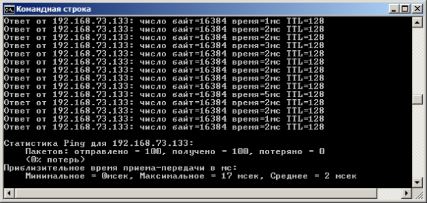 Ответ на команду ping.exe с ключами