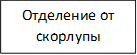 Отделение от скорлупы