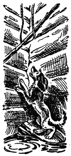 http://www.modernlib.ru/books/garinmihaylovskiy_nikolay/tema_i_zhuchka/i_002.png
