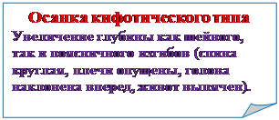 Rectangle: Folded Corner: Осанка кифотического типа
Увеличение глубины как шейного, так и поясничного изгибов (спина круглая, плечи опущены, голова наклонена вперед, живот выпячен).
