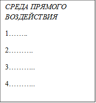 СРЕДА ПРЯМОГО ВОЗДЕЙСТВИЯ 
1……..
2……….
3………..
4………..
