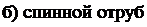 Надпись: б) спинной отруб; 