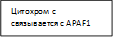 Цитохром с связывается с APAF1