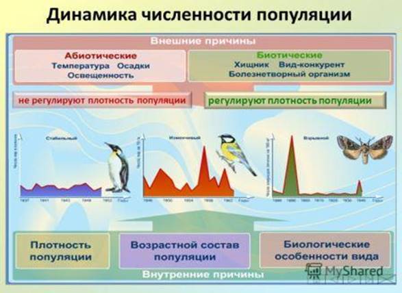 https://xn--j1ahfl.xn--p1ai/data/images/u144886/t1515656035aa.jpg
