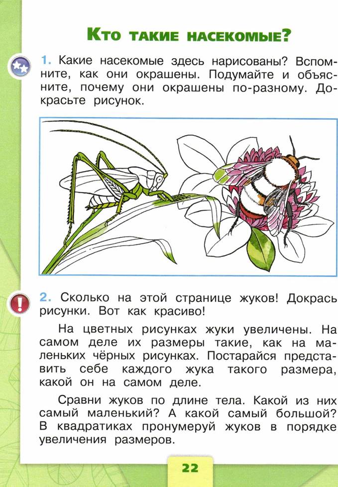 Окружающий мир первая. Рабочая тетрадь 1 класс окружающий мир школа России насекомые. Окружающий мир 1 класс Плешаков насекомые. Кто такие насекомые 1 класс окружающий мир рабочая тетрадь Плешаков. Кто такие насекомые 1 класс окружающий мир рабочая тетрадь.