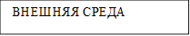  ВНЕШНЯЯ СРЕДА