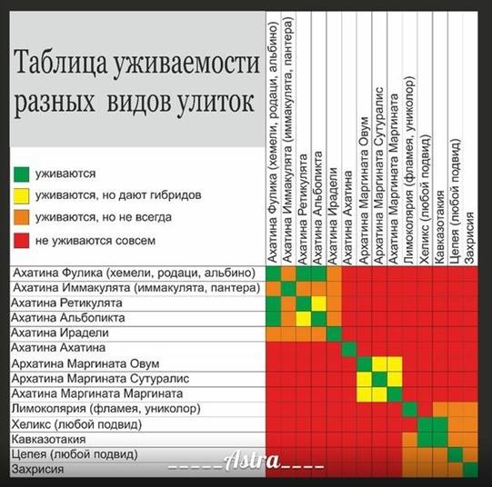 таблица уживаемости.jpg