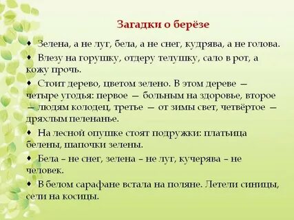 Пословицы и поговорки о берёзе. 