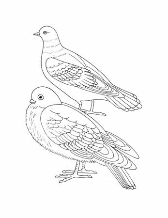 https://auho.ru/sites/default/files/raskraska-ptica-3.jpg