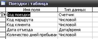 курсовая база данных туристическое агентство access