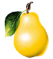 https://clipart-best.com/img/pear/pear-clip-art-7.png