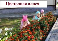IMG-20230123-WA0037.jpg