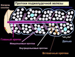 https://present5.com/presentation/4474903_170031289/image-61.jpg