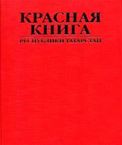 Кр Т