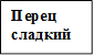Перец сладкий

