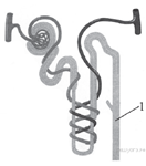 hello_html_m71bfea71.png